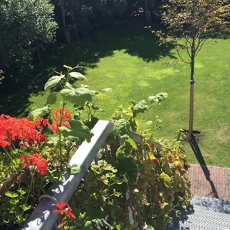 Suisse Bed & Breakfast Haag