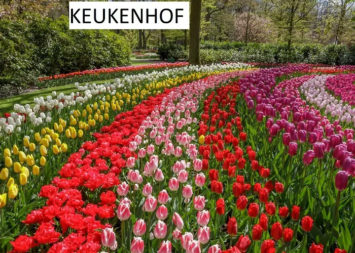 Suisse Frühstückspension