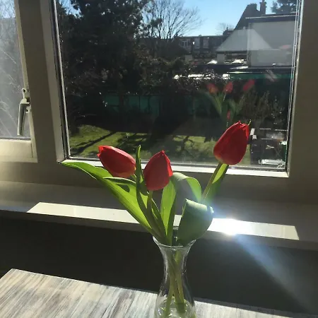 Suisse 4* デン・ハーグ