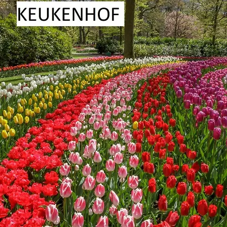 Suisse Frühstückspension