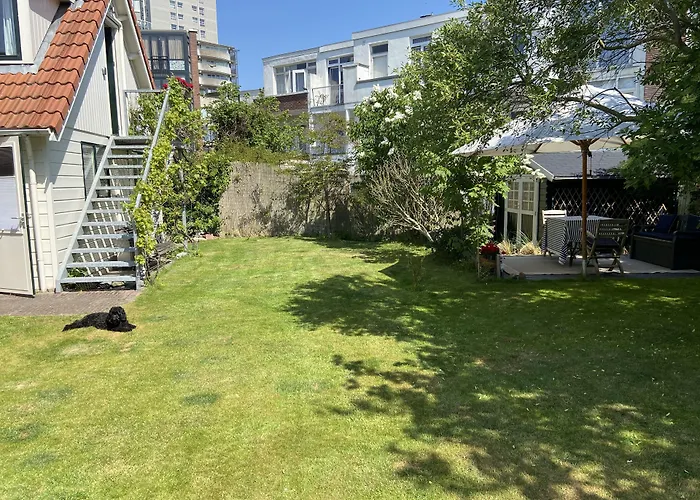 Bed & Breakfast Suisse Den Haag