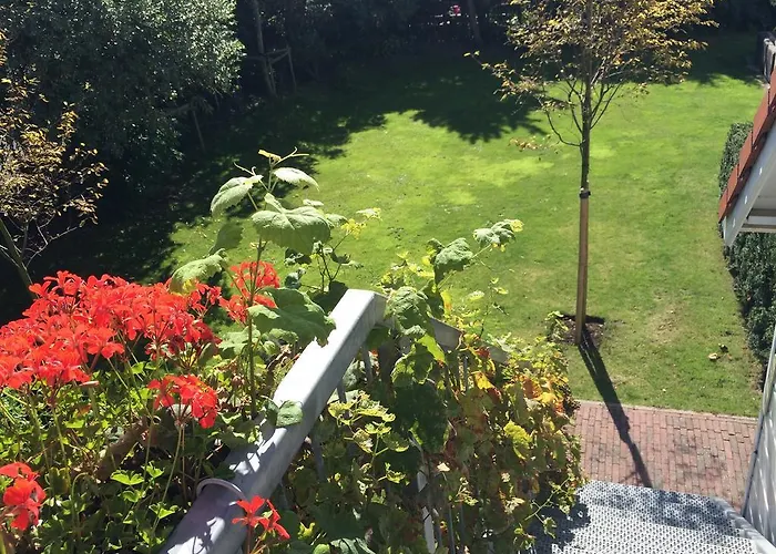 Suisse Bed & Breakfast Haag