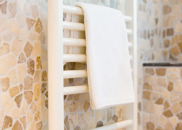 Suisse Bed and breakfast